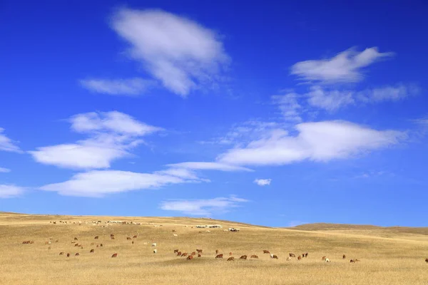 Pohled Hory Mongolsku — Stock fotografie