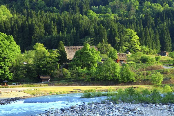 Japonya Daki Shogawa Kasabasının Nehir Manzarası — Stok fotoğraf