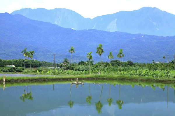 Wanluan Granja Estanque Pingtung — Foto de Stock