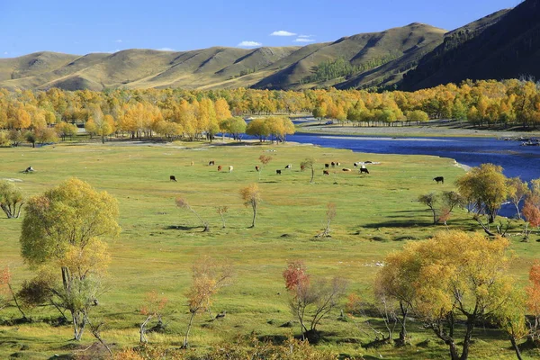 蒙古的山区景观 — 图库照片