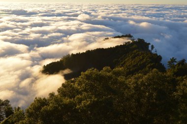 Tayvan 'da bulutlu dağ manzarası