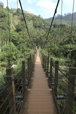 Tayvan 'daki dağlarda köprü