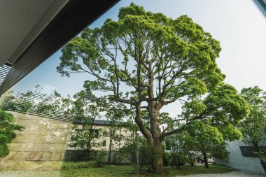 Japonya 'da Dış Yapı