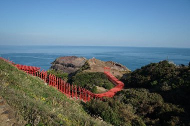 Japonya 'daki dağ manzarası