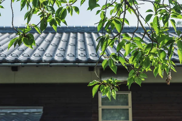 Edifício Exterior Japão — Fotografia de Stock