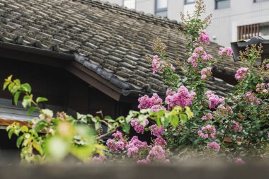 Çiçekleri kapatın. 