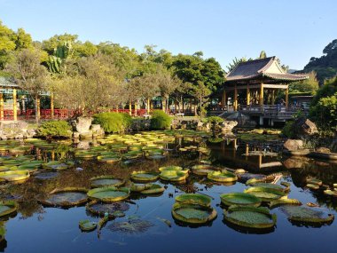 Shuangxi Parkı güneşli bir günde