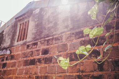 Tayvan 'da Dış Yapı