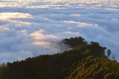 Tayvan 'da bulutlu dağ manzarası