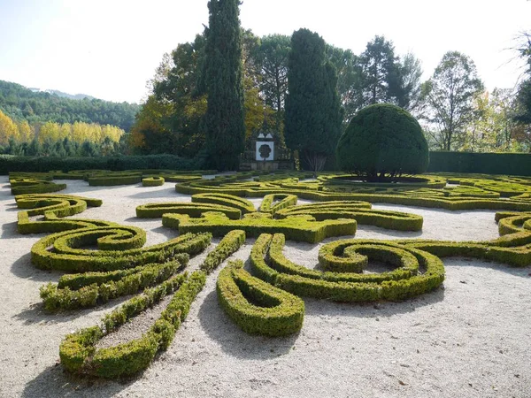 Grüne Formale Gartensicht — Stockfoto