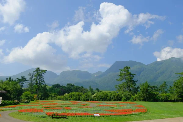 Paisagem Montanhosa Japão — Fotografia de Stock