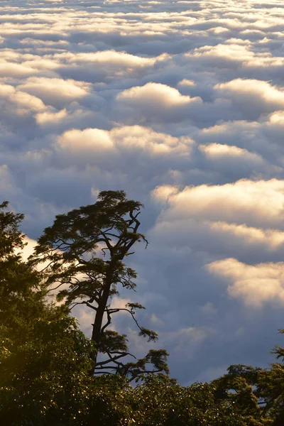 Árvores Verdes Nuvens Taiwan — Fotografia de Stock