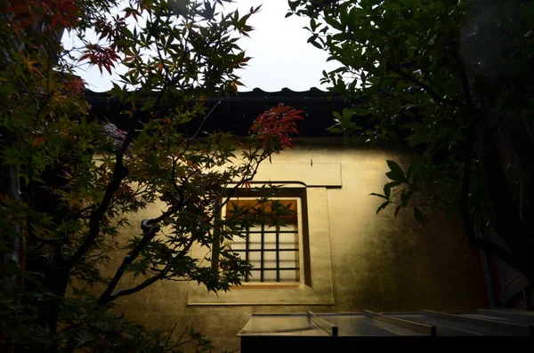 日本の緑の木と古い家 — ストック写真