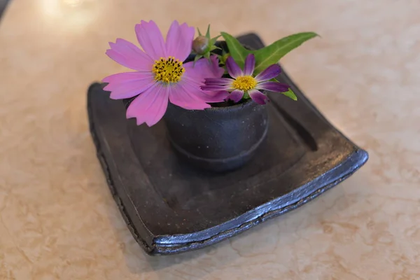 Nahaufnahme Von Blumen — Stockfoto