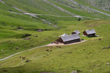 İsviçre 'deki dağ manzarası