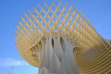 setas de sevilla İspanya 'da