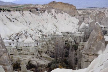 Türkiye 'de kapasite görüşü