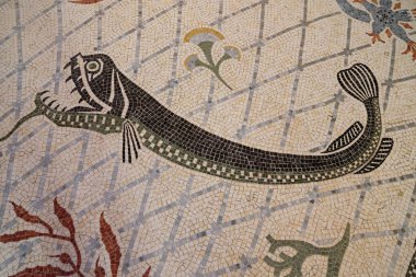 Çok renkli balık mozaiği