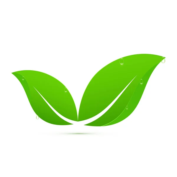 Folhas Verdes Logotipo Ilustração Vetorial — Vetor de Stock