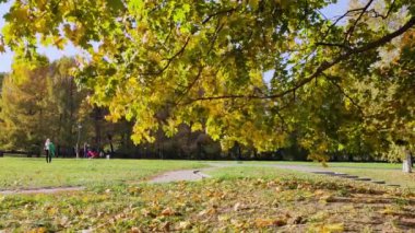 06.10.2020. Moskova. - Rusya. Şehir parkındaki ağaçların rengarenk sonbahar yaprakları ve yürüyen insanların manzarası.