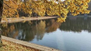Moskova 'da bir şehir parkındaki rezervuar manzaralı sonbahar manzarası.