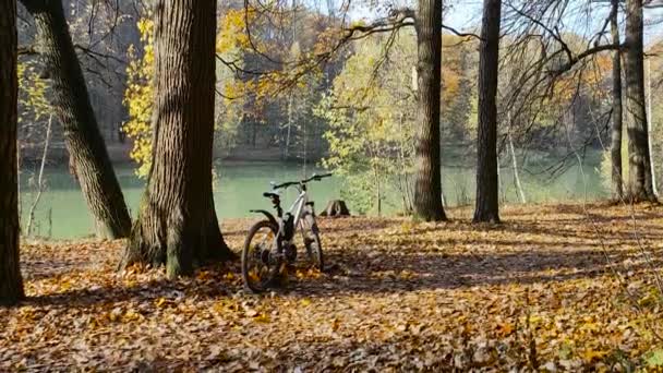 紅葉が美しい紅葉の森の中に立つ自転車の眺め. — ストック動画