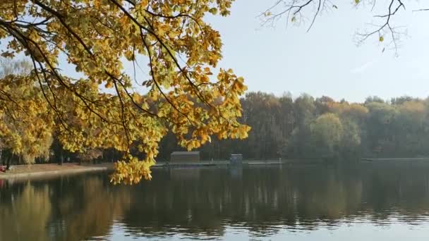 Осенний пейзаж с видом на водохранилище в городском парке. — стоковое видео