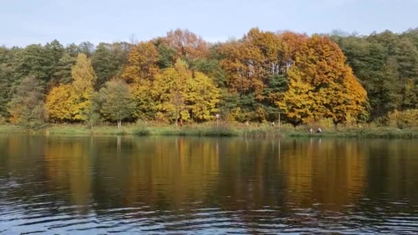 Jesienny krajobraz z widokiem na jezioro, który odzwierciedla kolorowe jasne liście drzew w parku naturalnym miasta. — Wideo stockowe