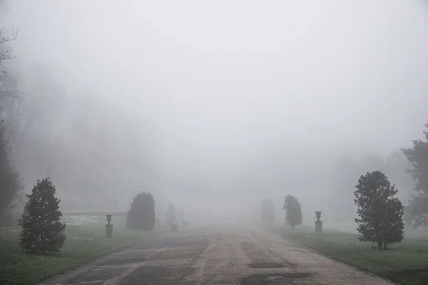 English park in the fog and mist, gloomy and broody mood, contemplate and melancholy, goth feel.