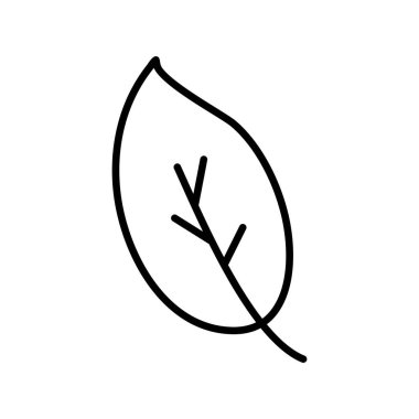 Yaprak Özeti Vektör Simgesi Tasarımı