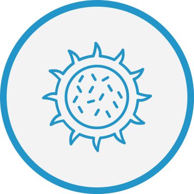 Ejderha Meyve Çizgisi Mavi Çember