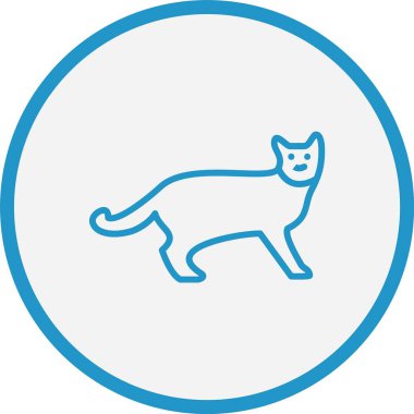 Kedi Hattı Mavi Çember