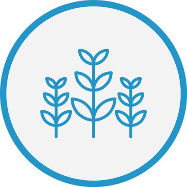 Buğday Çizgisi Mavi Çember