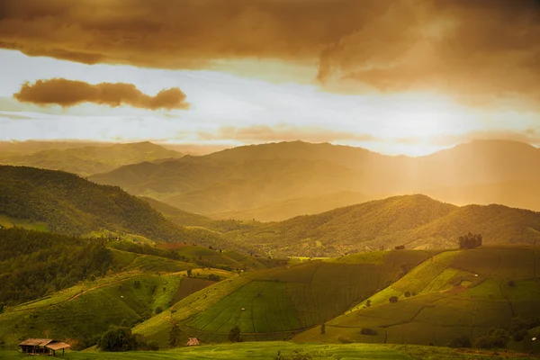çok güzel günbatımında yeşil pirinç alanında Pa bong piang Chiangmai, Tayland
