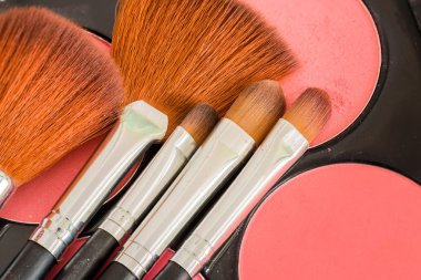 Profesyonel fırçalar ve kozmetik bir makyaj için