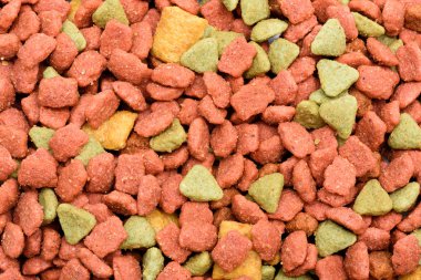 Köpek maması, evde beslenen hayvan yiyecek arka plan