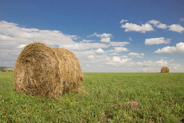 Bales of hay on green grass and blue sky with clouds — Stock Photo, Image