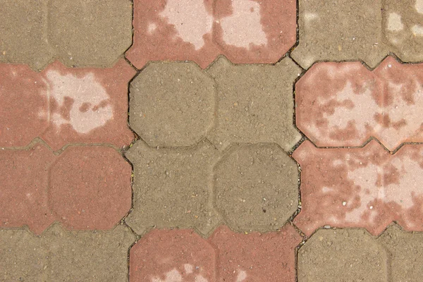 Wet cobbles of brown color on a trail after rain — Stock Photo, Image