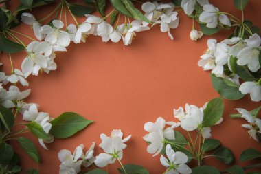 Elma çiçeği bir portakal backgr üzerinde dalları ile tebrik kartı