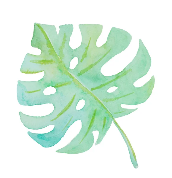 Όμορφη Αφηρημένη Φρέσκο Πράσινο Φύλλο Ζωγραφισμένο Ακουαρέλα Απομονώνονται Λευκό Φόντο — Φωτογραφία Αρχείου
