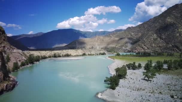 Altai Mountains River Turquoise Katun Russia Bird Eye View Hermosas — Vídeos de Stock