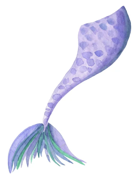 Purple Mermaid Tail Painted Watercolor Hand Isolated White Background — Stock Photo, Image