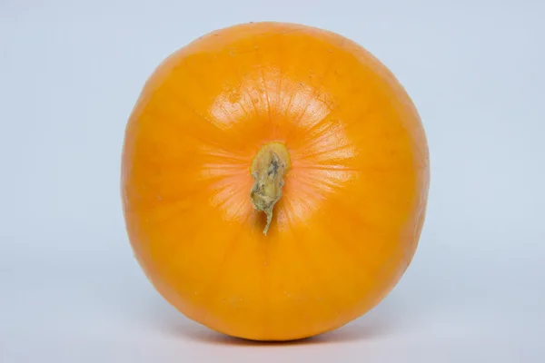 Ripe pumpkin on a white background — Stock Photo, Image