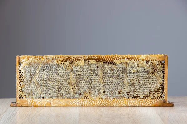 Vol frisse heerlijke gezonde honing honingraat in een houten fram — Stockfoto