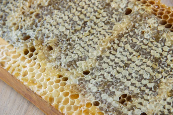 Cheio de favo de mel fresco delicioso mel saudável em um fram de madeira — Fotografia de Stock