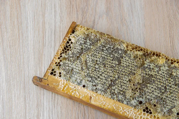 Voller frischer köstlicher gesunder Honigwaben im Holzrahmen — Stockfoto