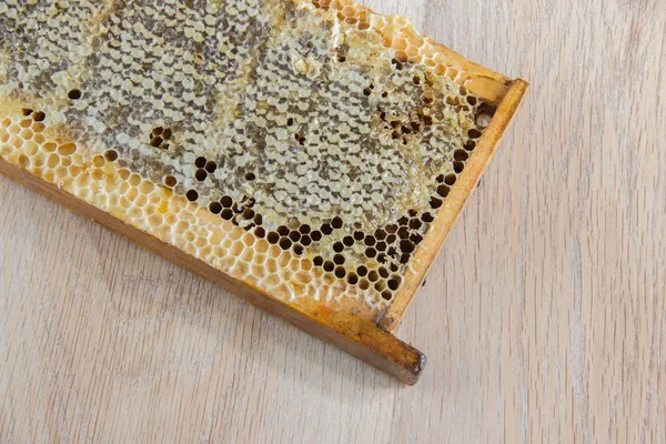Full of fresh delicious healthy honey honeycomb in a wooden fram — Stock Photo, Image