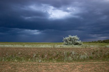 Yeşil bozkır koyu mavi bulutlar ve yağmur fırtına