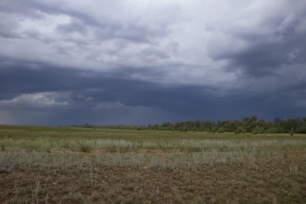Burza z piorunami w zielony stepowy z ciemnoniebieskie chmury i deszcz — Zdjęcie stockowe