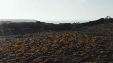 Bir sahil uçurumundan geniş bir doğal plaja kadar yamaç paraşütü aktivitesinin havadan görüntüsü..